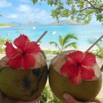 Isla Tortuga: El destino perfecto para un escape romántico o familiar