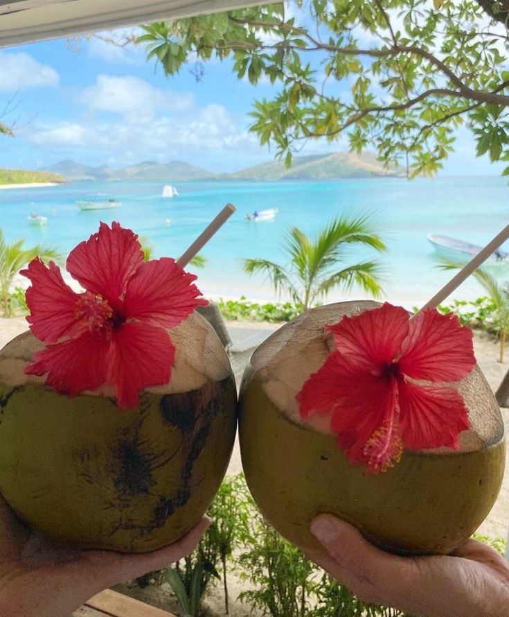 Isla Tortuga: El destino perfecto para un escape romántico o familiar