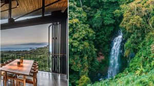 Tour del Café en Costa Rica VIVE