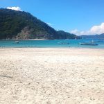 Tour a Isla Tortuga – Tribu Verde Travel