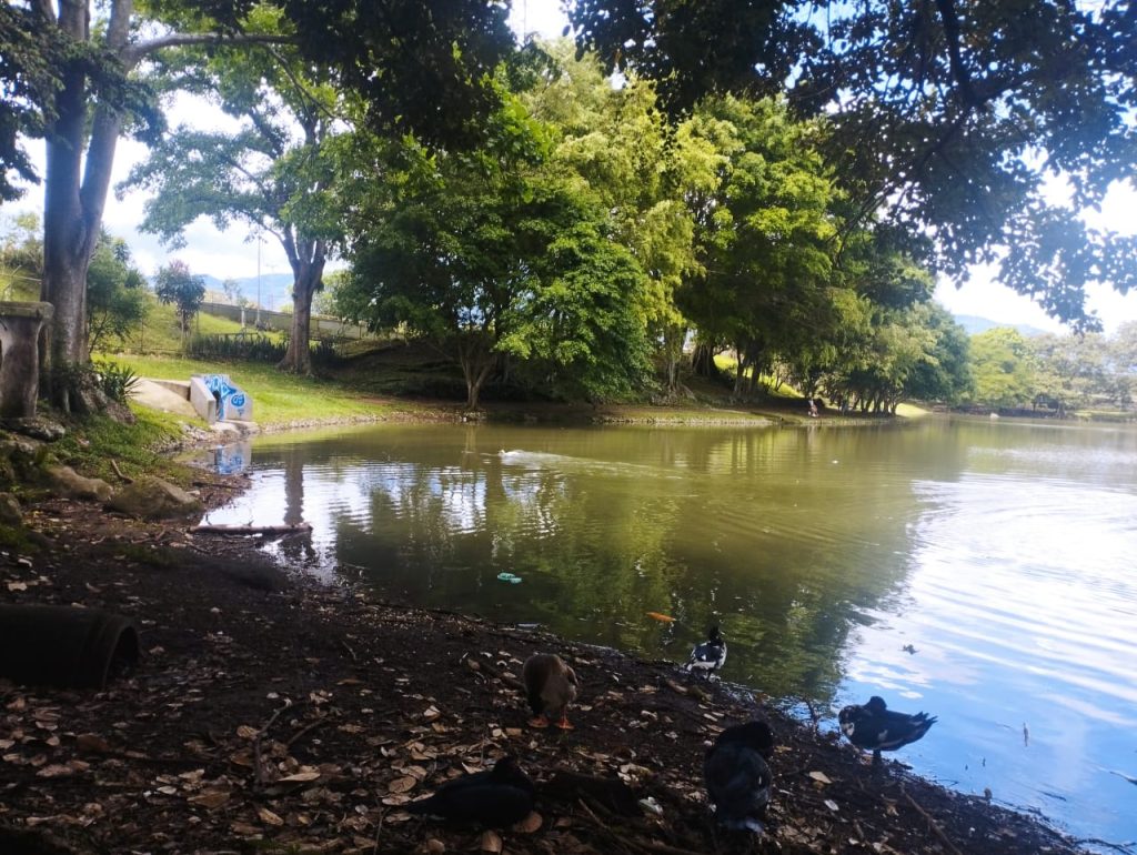 Vista del Parque de la Paz en San José, Costa Rica, con áreas verdes y familias disfrutando del día.