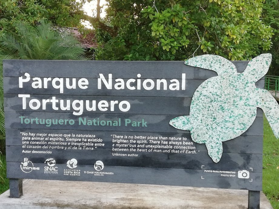 Recorrido en bote por los canales del Parque Nacional Tortuguero rodeado de selva tropical.